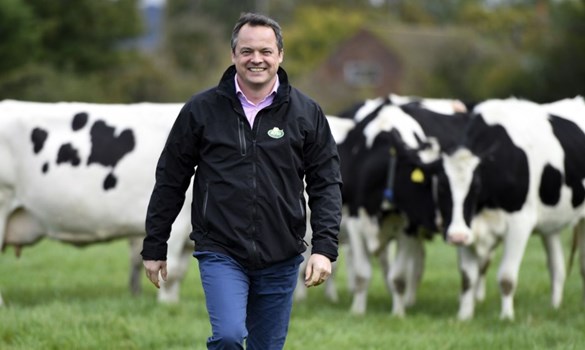 Man (Graham) walking towards camera in a grassy field with cows behind him